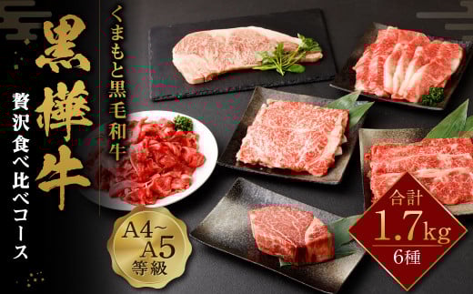 くまもと黒毛和牛 杉本本店 黒樺牛 A4~A5等級 贅沢食べ比べコース 計1.7kg熊本県高森町60000肉牛肉