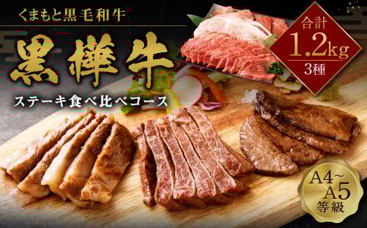 くまもと黒毛和牛 杉本本店 黒樺牛 A4~A5等級 ステーキ食べ比べコース 計1.2kg熊本県高森町44000肉牛肉