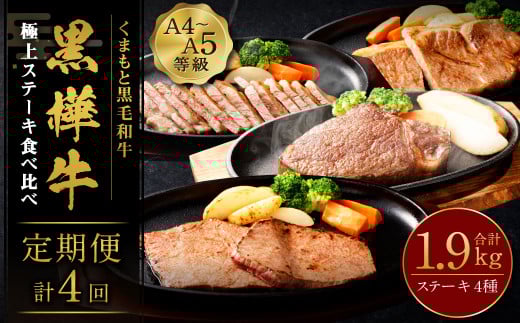 【4回定期便】くまもと黒毛和牛 杉本本店 黒樺牛 A4~A5等級 極上ステーキ食べ比べ 定期コース熊本県高森町80000肉牛肉