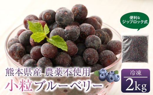 熊本産 小粒 冷凍 ブルーベリー 2kg 果物 フルーツ熊本県高森町15000果物・フルーツその他 果物・フルーツ