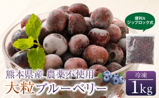 熊本産 大粒 冷凍 ブルーベリー 1kg 果物 フルーツ熊本県高森町10000果物・フルーツその他 果物・フルーツ