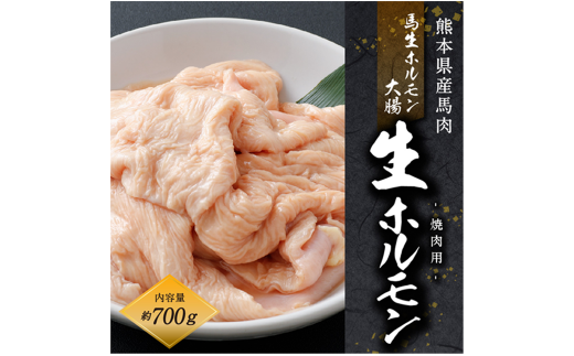 国産 馬肉 生ホルモン 焼肉用 (煮込みもOK) 約700g 馬肉 冷凍熊本県高森町12000肉ジビエ