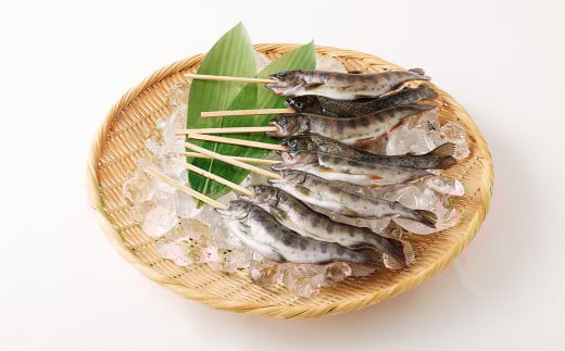 阿蘇から届く かわべの湧水やまめ (内臓処理済・串つき8匹)熊本県高森町10000魚介・海産物鮮魚