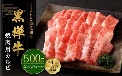くまもと黒毛和牛 杉本本店 黒樺牛 A4〜A5等級 焼肉用カルビ 500g熊本県高森町24000肉牛肉