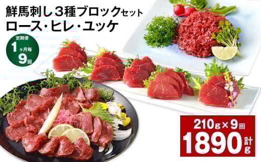 y19ցzNnh 3ubNZbgi[XEqEbPjF{X126000WrG