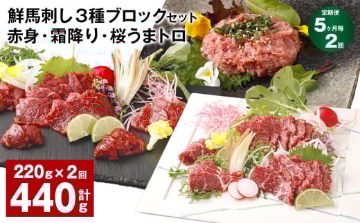 【5ヶ月毎2回定期便】鮮馬刺し 3種ブロックセット 赤身・霜降り・桜うまトロ熊本県高森町24000肉ジビエ