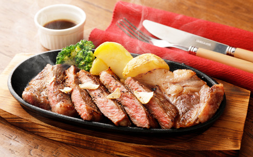 くまもと あか牛 サーロイン 500g(250g×2枚) 熊本 牛肉 お肉 ステーキ 和牛熊本県高森町30000肉牛肉