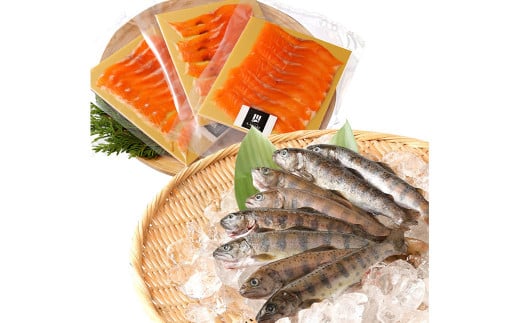 阿蘇から届く かわべの湧水やまめ 640g(内臓処理済8匹)と ASOサーモンの燻製 240g(40g×6パック)セット やまめ サーモン 熊本県 高森町熊本県高森町20000魚介・海産物鮮魚
