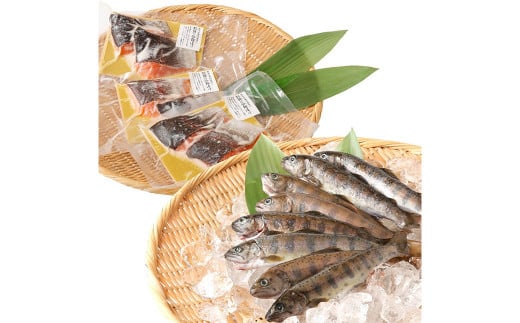 阿蘇から届く かわべの湧水やまめ 640g(内臓処理済8匹)と かわべのASOサーモン塩?仕立て 480g(80g×6切)やまめ サーモン 熊本県 高森町熊本県高森町20000魚介・海産物鮮魚