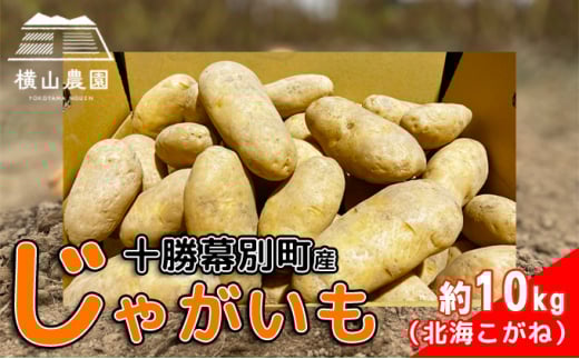kC \ ʎY Ⴊ kC 10kg yR_z   tCh|eg |eg`bvX ϐFɂ ϕꂵɂ F kC̃WKC [5749-1289]kCʒ