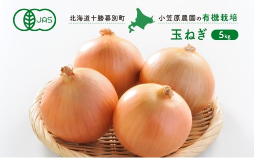 }_̗L@ʂ˂5kgykC\ʁzs2025NHoאs\ty  ʂ˂ ܂˂ p[Et kC ʒ z [5749-1398]kCʒ9000؁Êʂ˂E˂