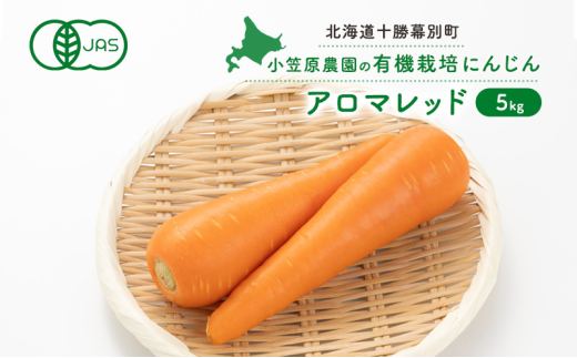 }_̗L@ɂ񂶂uA}bhv5kgykC\ʁzs2025NHoאs\ty   ɂ񂶂 lQ A}bh kC ʒ z [5749-1416]kCʒ9000؁E