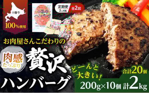 [lCno[O̒] S2/2 v20 kC \ 育˃no[O 200g×10y Zbg 100% Y  no[O peB pe y  Ⓚ 傫 Y kC \