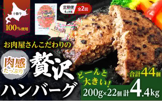 [lCno[O̒] S2/4 v44 kC \ 育˃no[O 200g×22y Zbg 100% Y  no[O peB pe y  Ⓚ 傫 Y kC \