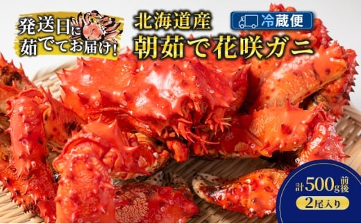m①ցn䥂łĒIkCY 䥂 ԍKj 500g×2y  Jj I ԍKj ԍI CN  C̍K CY ƒp ① kC \  z [5749-1741]kCʒ45000E