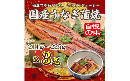 <冷凍3尾>岬町自慢の味 うなぎの川島家 国産うなぎ蒲焼 大サイズ(211g〜225g)特製タレ付き【1488341】大阪府岬町35000魚介・海産物うなぎ