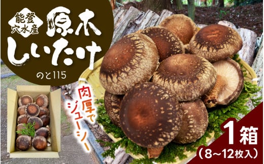 ys\z\o Y ؂ (̂115) 8`12 y2026N1ȍ~z/ \o \o Y ő  ̂ LmR   H׉ ΐ쌧17000؁E