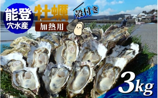 【先行予約】鮮度抜群!獲れたてをお届け! 能登穴水の牡蠣(殻付) 加熱用 3kg【2026年2月以降順次発送】 | 奥能登 能登半島 冷蔵 真牡蠣 3キロ ナイフ付き 肉厚 殻付き 海鮮 魚介類 海産物 バ