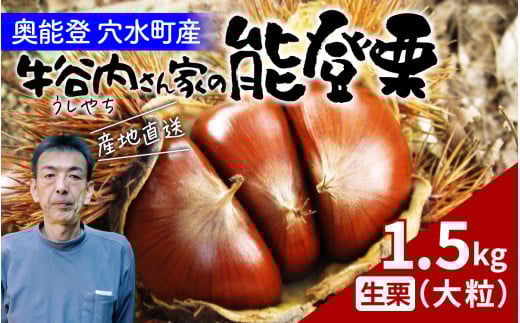 【先行予約】牛谷内農園の能登栗(大粒)1.5kg 〜低温熟成させたあま〜い能登栗〜【2025年9月末より順次発送】/ 能登半島 奥能登 くり 生栗 マロン 和栗 焼き栗 栗ごはん 焼き栗 国産 果物石