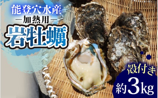 奥能登 松村水産の岩牡蠣 約3kg【殻付き・加熱用】 【2025年6月中旬より順次発送】/ 魚介類 海の幸 海のミルク オイスター 海鮮 国産 穴水町 奥能登 能登半島 大粒 旬 かき カキ石川県穴水町10