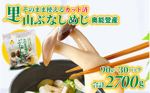そのまま使えるぶなしめじ石川県穴水町8000野菜・きのこきのこ