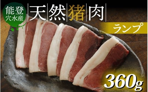 奥能登 穴水産 天然猪肉 ランプ 120g×3枚 計360g石川県穴水町8400肉ジビエ