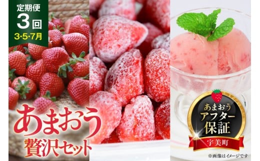 yԌ蔭z   ґZbg tbV܂ & Ⓚ܂ & WF[g 2 [THE FARM_strawberry  F um40azo780005] ACX s\ C`S  t[c ʕ ʎ