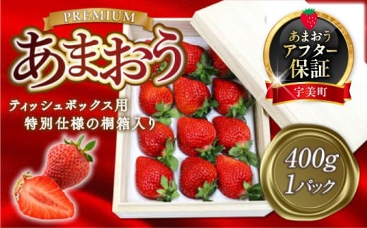 yԌ蔭z  ܂ v~A 400g 1p eBbV^ ˔ [THE FARM_strawberry  F um40azo780008] s\  C`S  t[c ʕ ʎ Â eBbVP[X 