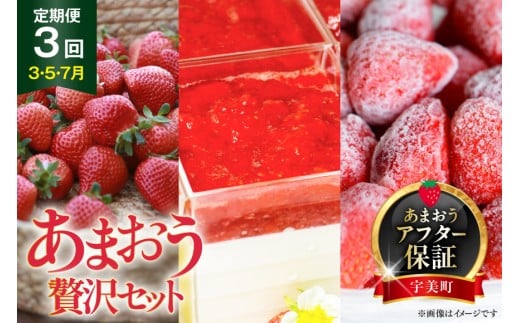 yԌ蔭z   ґZbg No2 tbV܂ & Ⓚ܂ & A`[YP[L lߍ킹 [THE FARM_strawberry  F um40azo780009] s\ C`S  t[c