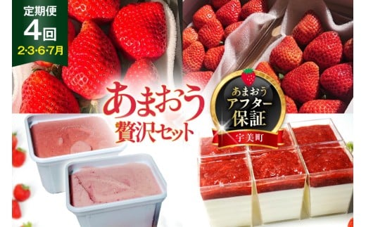 yԌ蔭z   嗱܂ DX܂ WF[g 2 A`[YP[L 6p lߍ킹 [THE FARM_strawberry  F um40azo780010] s\ ܂ 嗱 C`S  t