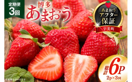 yԌ蔭z   ܂ 2p 3 v6P [THE FARM_strawberry  F um40azo780012] s\ C`S  t[c ʕ ʎ Â   ܂F27000ʕEt