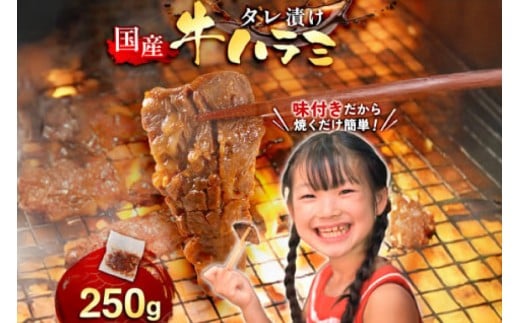  ē Y  n~ TK 250g [Fz  F um40azp100002] n~ ͂ ͂   Ă z ^Ђ ЂF4500
