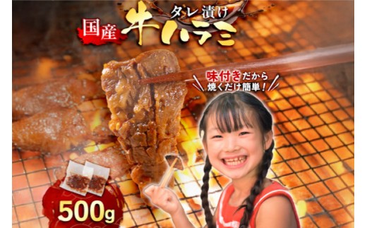  ē Y  n~ TK 500g [Fz  F um40azp100003] n~ ͂ ͂     Ă z ^Ђ ЂF5000