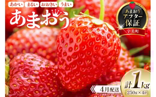 Ԍ  ܂ 250g×4pbNy4z[c  F um40beq650003] s\  C`S t[c ʕ ʎ Â ܂ Gߌ蕟F10000ʕEt[c