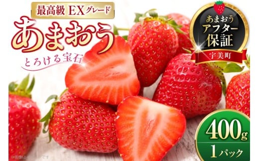  ܂ v~AEX 400g 1pbN ϔ[THE FARM_strawberry  F um40azo780014]  C`S Â ܂ t[c ʕ ʎF12000ʕEt[c