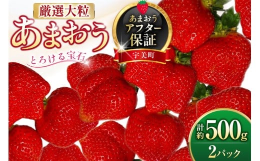  I嗱 ܂ 250g`270g 2pbN v 500g [THE FARM_strawberry  F um40azo780013]  C`S t[c ʕ ʎ  Â ܂ 嗱F9000ʕEt[c