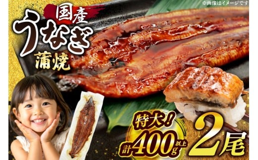 Ȃ Y V   200g 2 v400gȏ  yLz[单Y  F um40bak830011] ^ Rt t EiM s KiO  { Ȃ VĂ Ă 