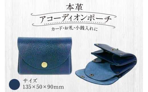 z {v {vAR[fBI |[` lCr[ A^ 135×50×90 [vc@lYƋ͎ƕ  F um40azo850001]nv] v RCP[X Y fB[X ~j J[hP[