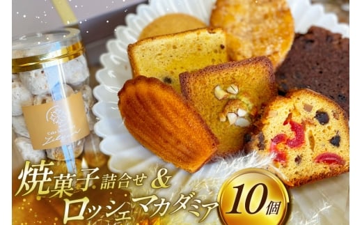 ĉَq  ĉَqMtg 8 v10 [A  F um40bgk590000] ĉَqlߍ킹 َq َq lߍ킹 l tBiVF َq܂ َqlߍ킹 IV XC[c Zb