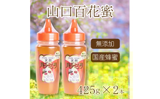 はちみつ 国産 蜂蜜 850g ( 425g×2 ) 国産100% 百花蜜 山口県産 下関山口県下関市17000鍋セット・総菜・加工食品ジャム・はちみつ