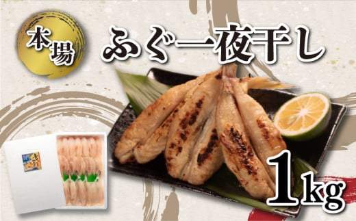 ふぐ 一夜干し 1kg セット 冷凍 小ふぐ シロサバフグ 下関 山口 ふぐ特集 秋 冬山口県下関市15000鍋セット・総菜・加工食品その他 鍋セット・総菜・加工食品