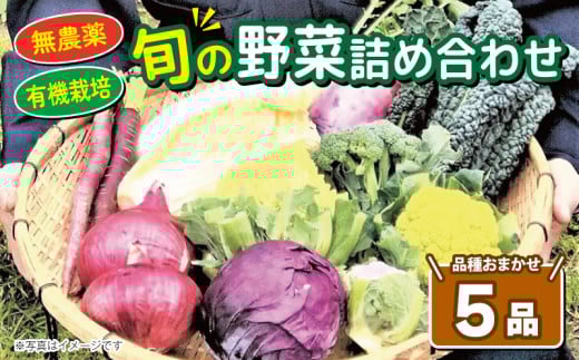旬の野菜 詰め合わせ セット 5品種 ( お楽しみ 産地直送 農家直送 季節 旬 おまかせ 春 夏 秋 冬 やさい サラダ 新鮮 玉ねぎ 人参 じゃがいも ピーマン 大根 なす キャベツ 等 豊浦町 川棚 下関