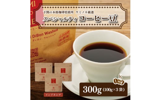 スペシャルティ コーヒー豆セット インドネシア 300g(100g×3袋)  下関市 山口山口県下関市10000鍋セット・総菜・加工食品その他 鍋セット・総菜・加工食品