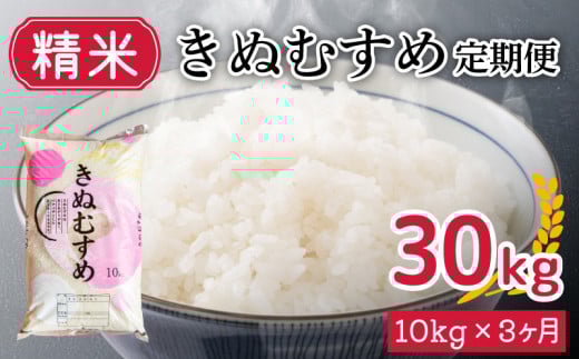 【 定期便 3ヶ月 】新米 きぬむすめ 10kg × 3ヶ月 計 30kg 精米 大容量 米 お届け回数3回 お米 定期便お届け 白米 直前精米 精米したて 豊田町 下関 山口山口県下関市42000米・パン白米