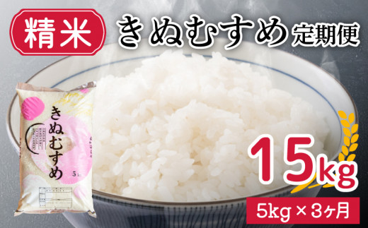 【 定期便 3ヶ月 】新米 きぬむすめ 5kg × 3ヶ月 計 15kg 精米 大容量 米 お届け回数3回 お米 定期便お届け 白米 直前精米 精米したて 豊田町 下関 山口山口県下関市21000米・パン白米