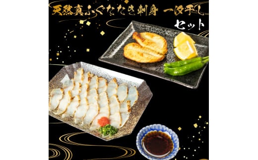 ふぐ たたき 刺身 一汐干し 天然 冷凍 真ふぐ まふぐ てっさ 本場フグ刺し 河豚 高級魚 鮮魚 本場 下関 山口 旬 お取り寄せ ギフト 年末年始 年末 正月 【 12/23申込分まで 年内配送 】山口県下