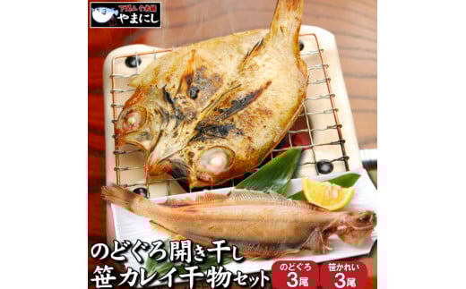 ̂ǂ J  JC 銱 Ⓚ  2 3 Zbg TCY  RR֎s14000ECY
