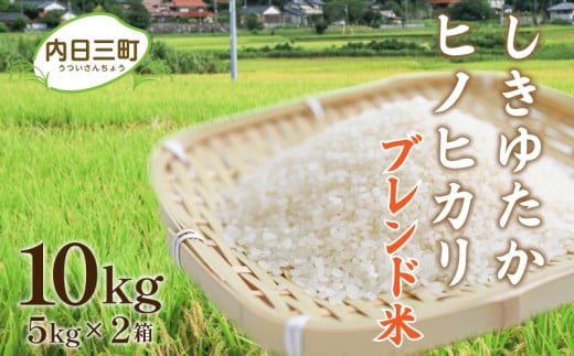 【令和6年度産 数量限定】 Wブレンド米 10kg (5kg×2袋) ( 米 こめ お米 白米 精米 しきゆたか ヒノヒカリ お取り寄せ 食品 人気 おすすめ プレゼント ギフト 贈答 家庭用 便利 お手軽 備蓄 ご飯