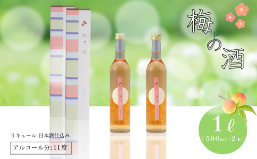 梅の酒 リキュール 500ml × 2本 ( お酒 酒 梅酒 果実酒 日本酒 おすすめ梅酒 梅 青梅 ロック ホット梅酒 下関酒造 プレゼント ギフト 銘酒 贈り物 贈答 家飲み 晩酌 お中元 お歳暮 記念日 父の日