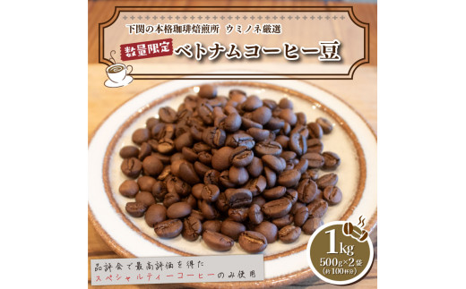【中挽き】 訳あり コーヒー豆 1kg ( 500g × 2袋 )  数量限定 ベトナム 珈琲 自家焙煎 下関 山口 再入荷 2024年度入荷分山口県下関市10000お茶・飲料コーヒー・紅茶